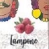 cioccolato igp gusto lampone